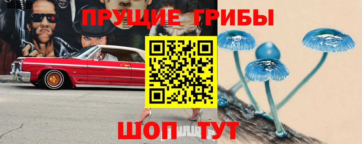Псилоцибиновые грибы прущие грибы  сколько стоит  Арзамас  Вход с VPN 